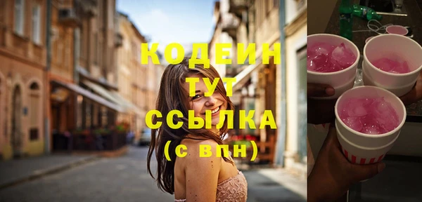 гашик Вяземский