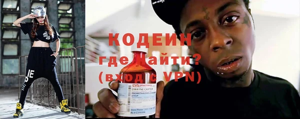 гашик Вяземский