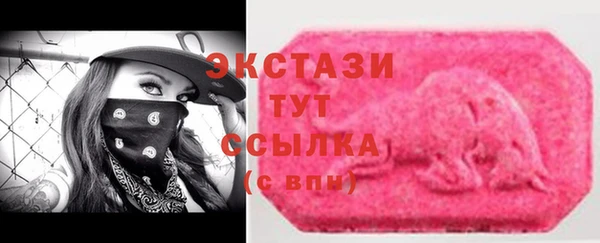 гашик Вяземский