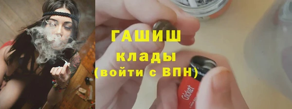 гашик Вяземский