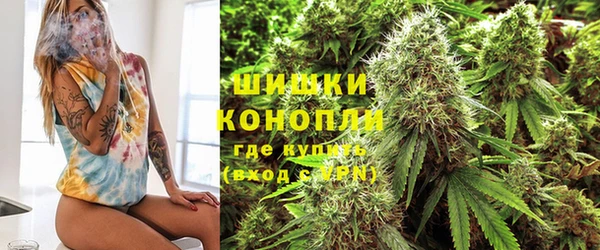 гашик Вяземский